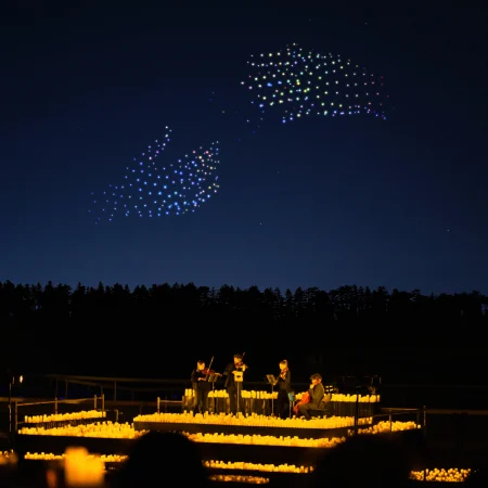 DroneArt Show Four Seasons