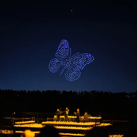 DroneArt Show Four Seasons