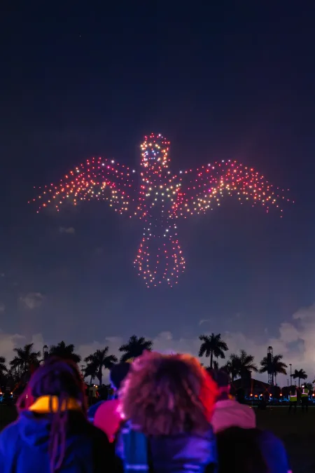 Droneart
