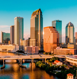 Tampa - Tampa