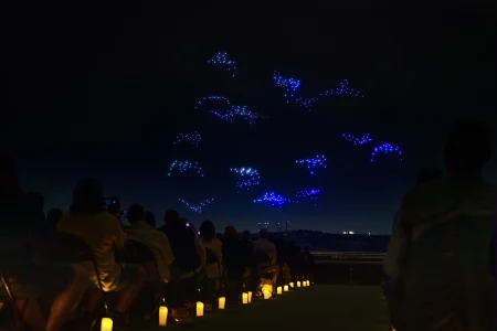 Droneart