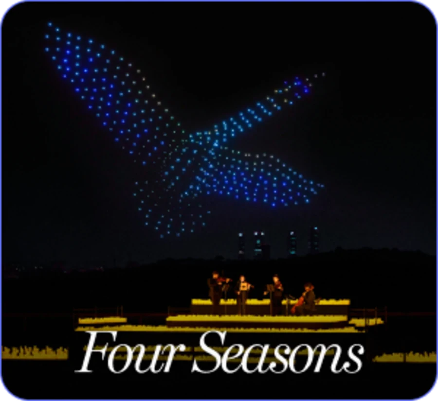 Droneart Four Seasons