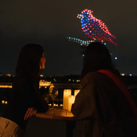 Droneart
