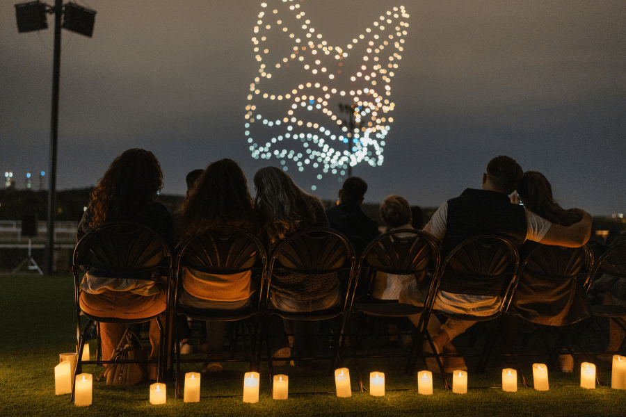 Experience the Magic: