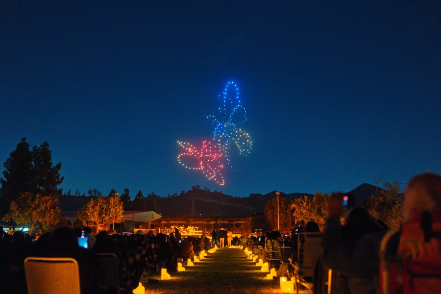 Tickets Droneart Portland