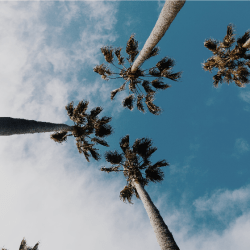 sandiego - San Diego
