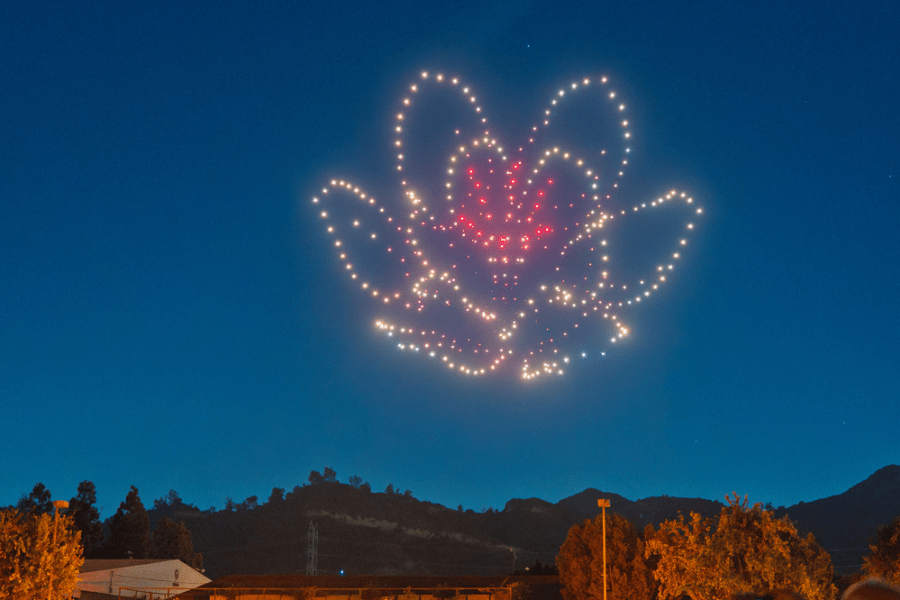 Experience the Magic: