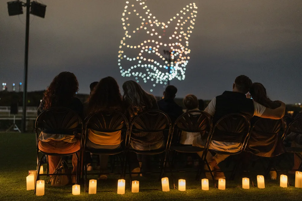 DroneArt Show